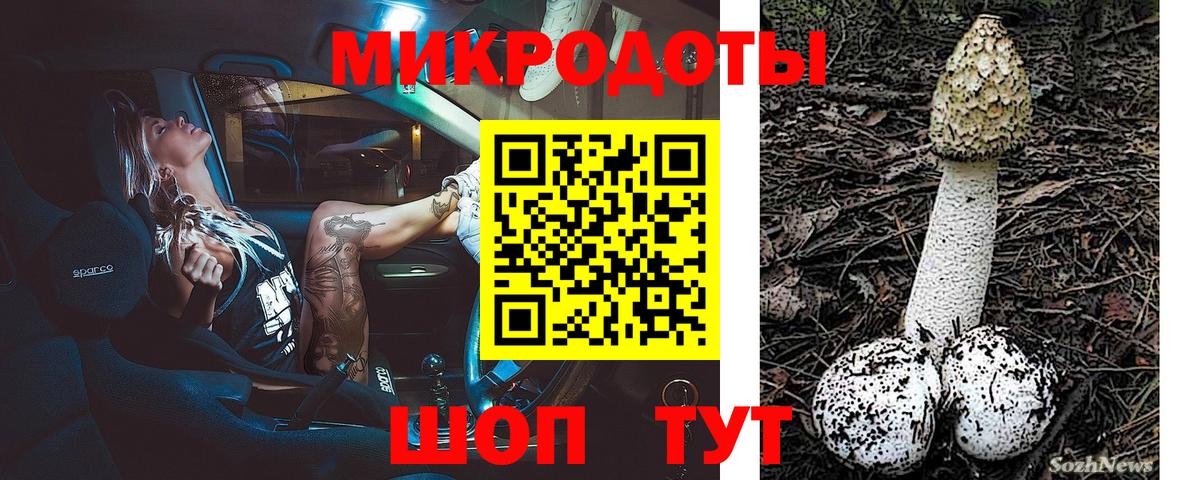 Электрогорск  что такое наркотик  Вход с VPN  Псилоцибиновые грибы Cubensis  Галлюциногенные грибы ЛСД 