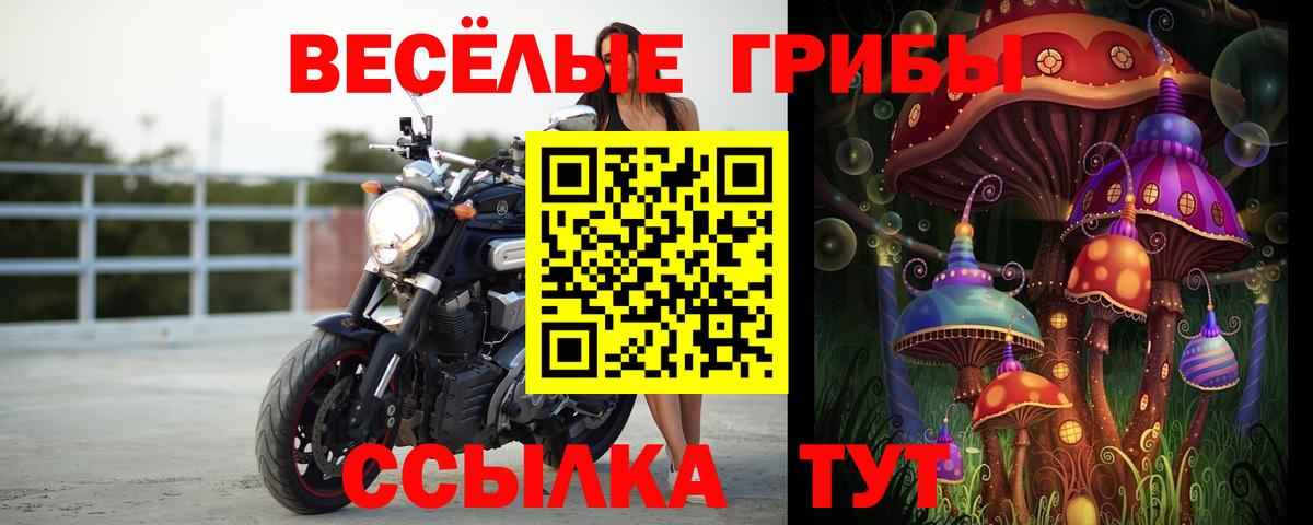 Псилоцибиновые грибы прущие грибы Электрогорск